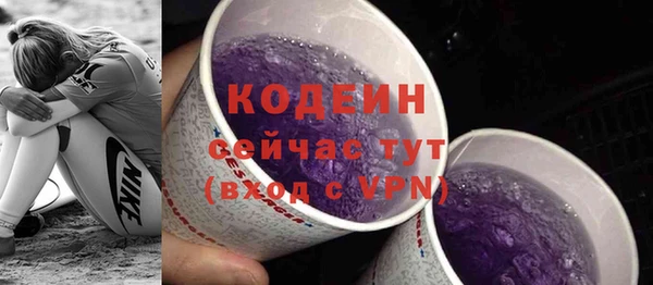 дмт Богородск