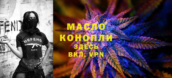 дмт Богородск