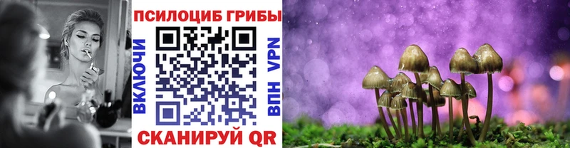 Галлюциногенные грибы Cubensis  Беслан 